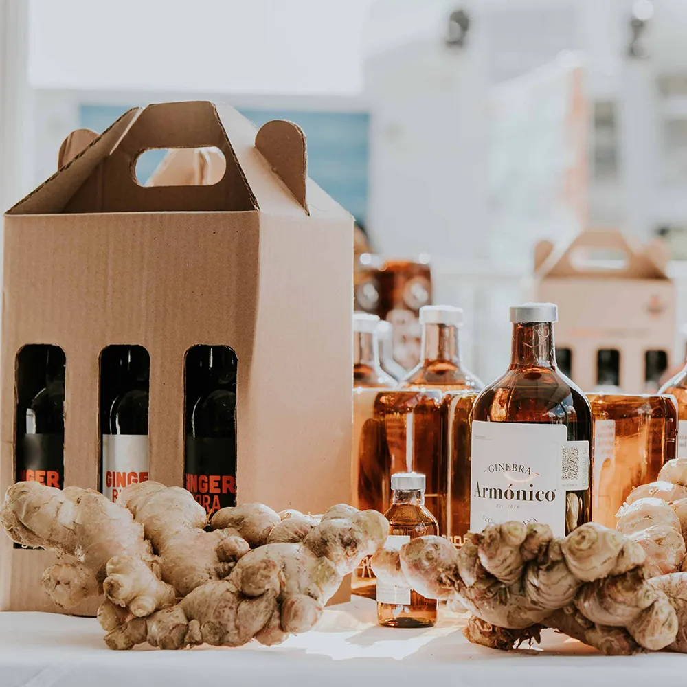 packaging de cartón para botellas de ginebra
